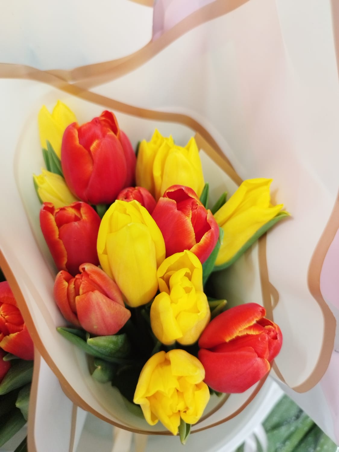 Тюльпаны Микс 15 шт